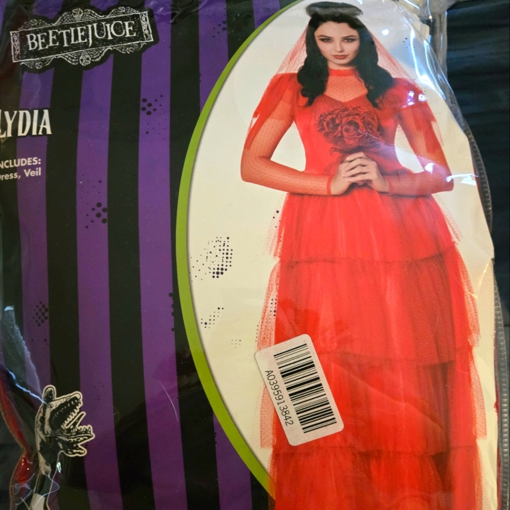 Beetlejuice and Lydia costume